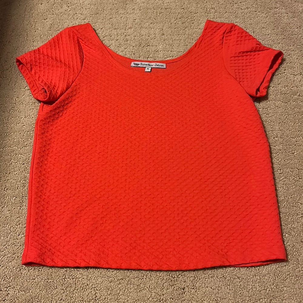 Butterflies & Zebras Top
